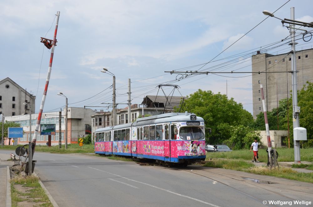 Der laut Zielbeschilderung zum 'Karlsplatz' (Essen) fahrende Wagen 1683 quert am 03.05.2014 hinter der Haltestelle Baile Termale einen recht rustikal anmutenden beschrankten Bahnübergang der rumänischen Staatsbahn CFR